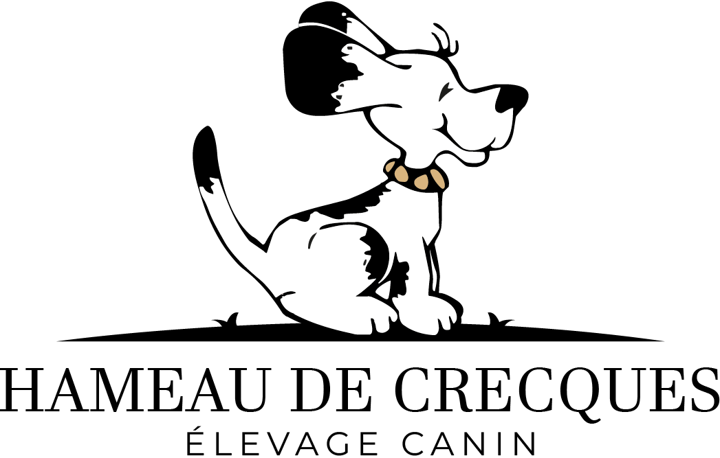 logo-hameau-de-crecques-chien-noir-et-blanc