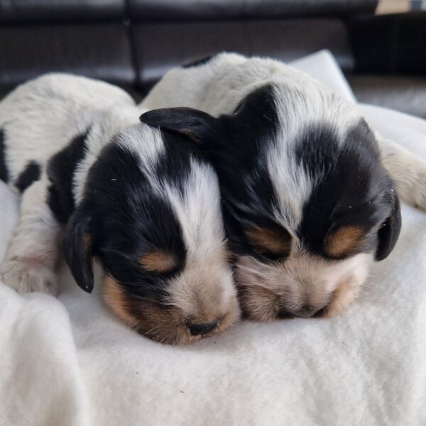 547076987_122156856062758554_7710729881378333956_n