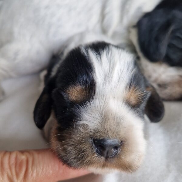 549190153_122156855798758554_786241172326895789_n