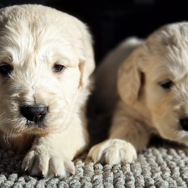 560050762_122156859488758554_8403352599288615149_n