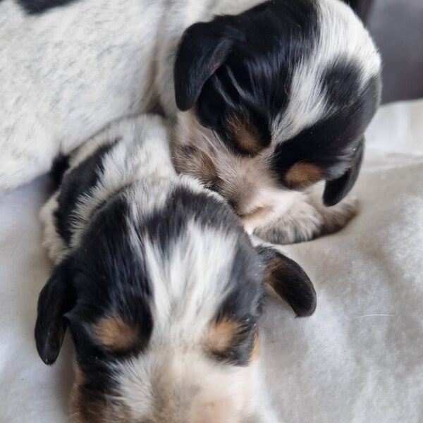 567672141_122156855870758554_8493774479716913437_n