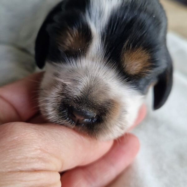 569218708_122156855768758554_2463135612418859267_n