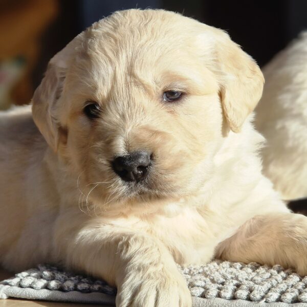 571109347_122156859446758554_5318387807635727029_n