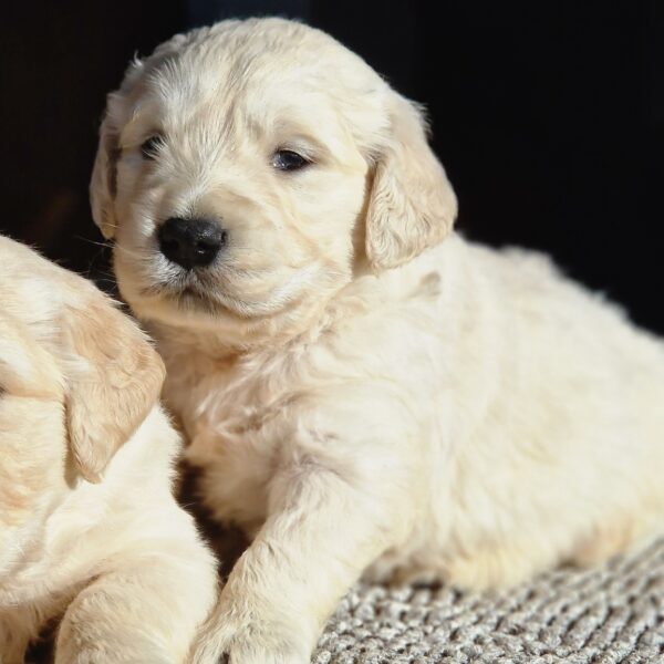 571215836_122156859638758554_9136617181517740526_n