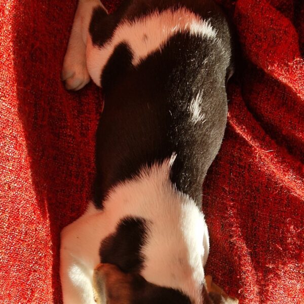 586286483_122161266248758554_4483852360355978516_n