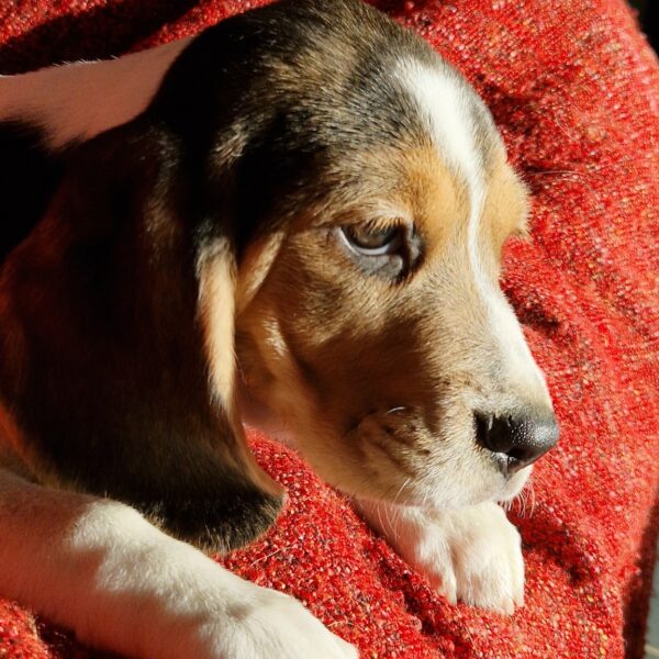 586344835_122161266266758554_1150350624415204707_n