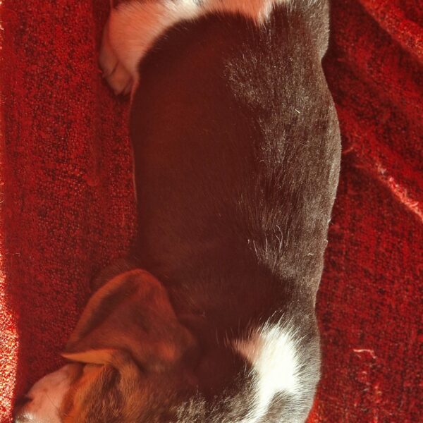 588041415_122161267262758554_2836796636681071938_n