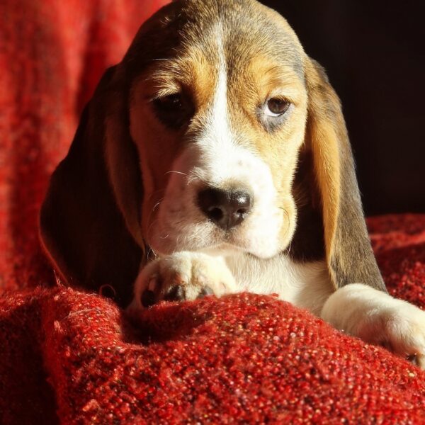 589021960_122161267214758554_8842029412037942059_n