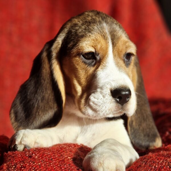 589605932_122161267202758554_7091811703132033368_n