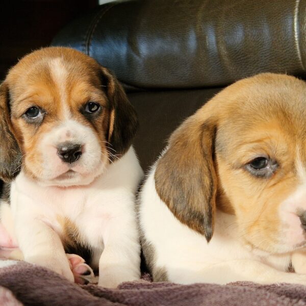 591736953_122162626628758554_4713559834244024673_n