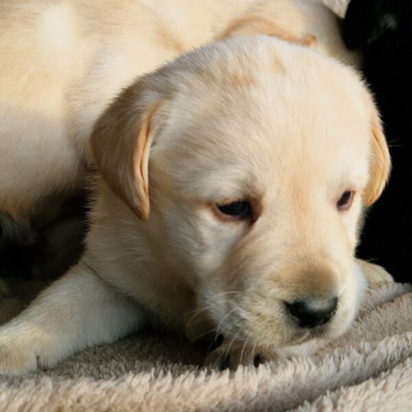 591737180_122162621192758554_1685834884569890080_n