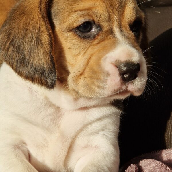 591739505_122162626610758554_4993834466479542886_n