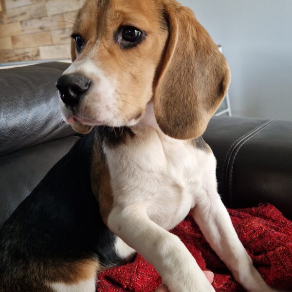 593293715_122162619716758554_2089755080039048238_n