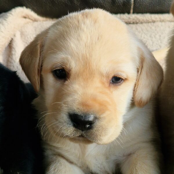 594050499_122162621180758554_2421957979467798816_n