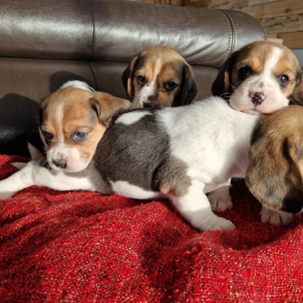 594064240_122162626496758554_6492736924397951093_n