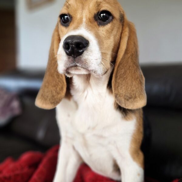 594064285_122162619728758554_6433155573304144682_n