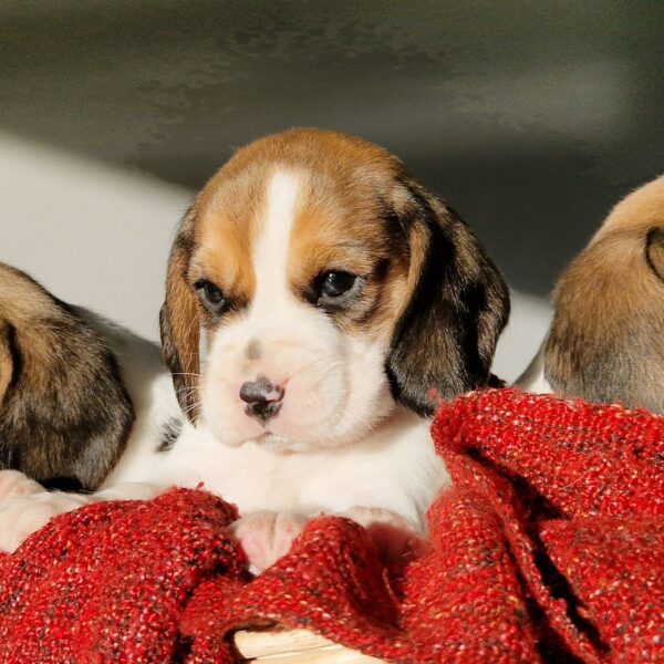 594066073_122162626550758554_5855622913249885583_n