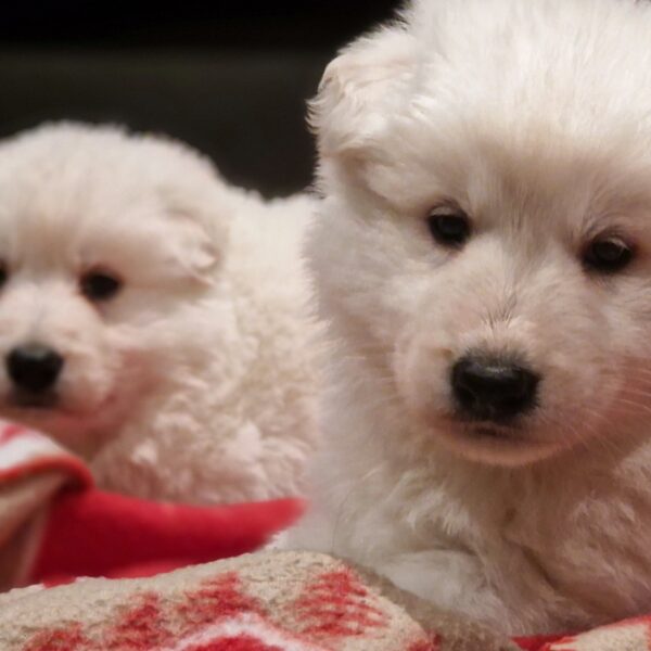 594070004_122162879174758554_2828525743331634385_n