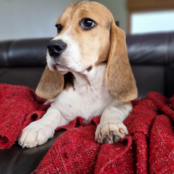 594403115_122162619560758554_3650544070748218092_n