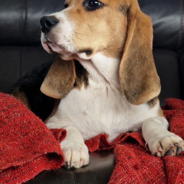 594420549_122162619632758554_631984465317292405_n