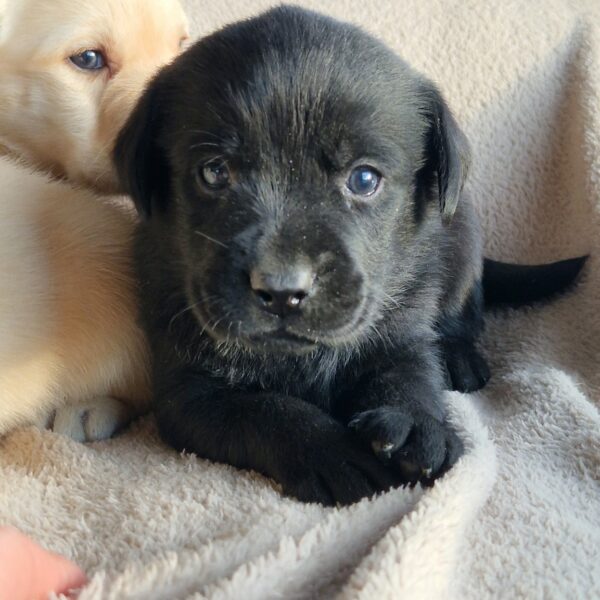 594854461_122162621210758554_758293729513749025_n