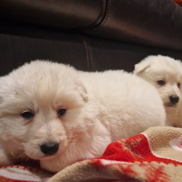 594972804_122162879120758554_6359533362452632152_n