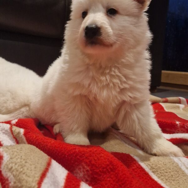 595446223_122162879054758554_1645521988362821512_n