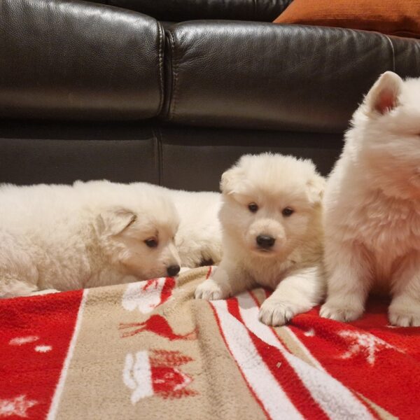 596775227_122162879282758554_9015332467227136551_n