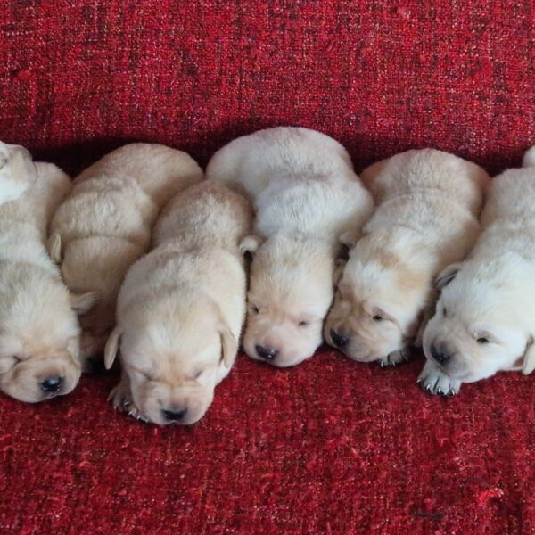 605537966_122165566466758554_3906991160260761079_n