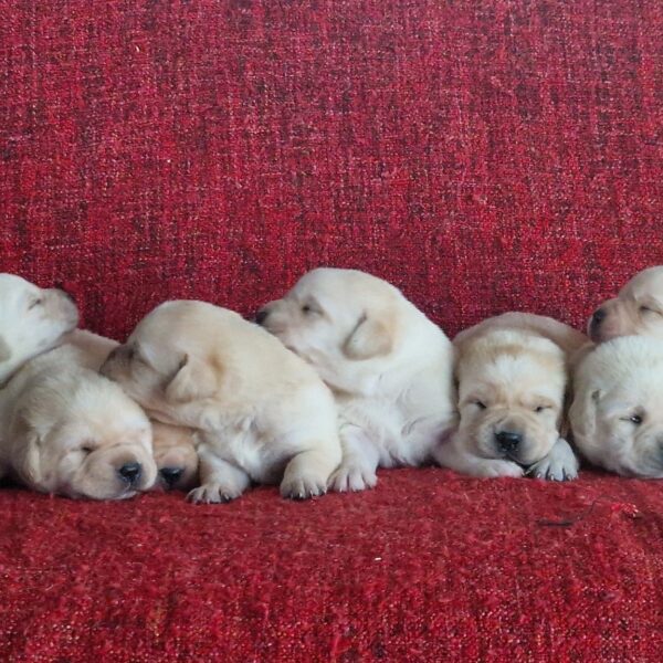 605655114_122165566376758554_5728243937763843934_n