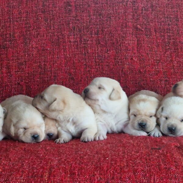 606441585_122165566394758554_6535472975417510403_n