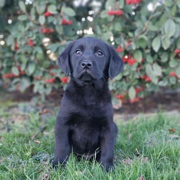 607615188_122166551852758554_7490466452604875878_n (1)