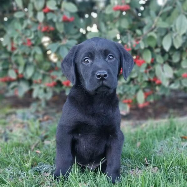 607615188_122166551852758554_7490466452604875878_n