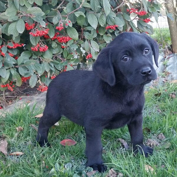 611854919_122166551906758554_1926240867929007520_n