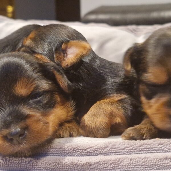 612609920_122167371380758554_5340057612683439638_n