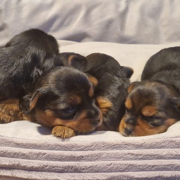 613801039_122167371062758554_1408780871797023135_n