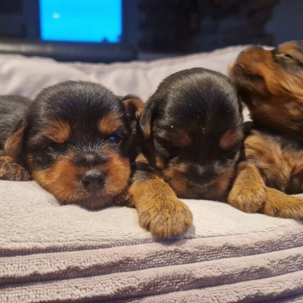 614171416_122167371086758554_9029746500846783587_n