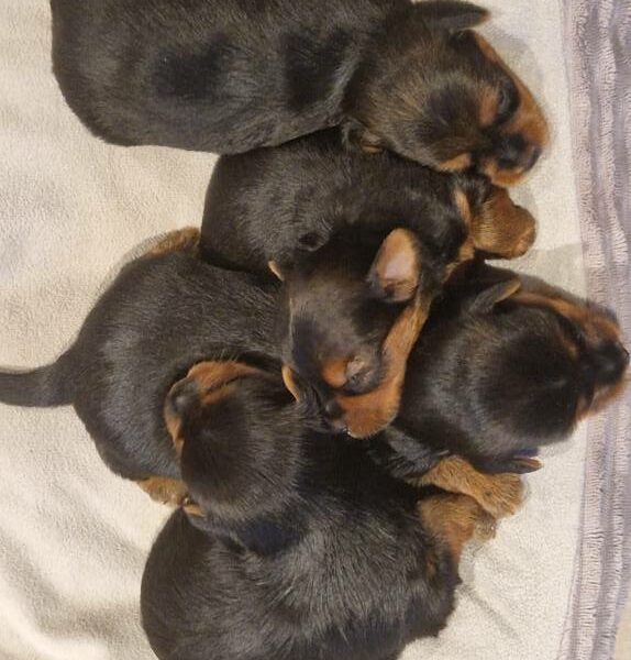 614472957_122167370642758554_923098116253397498_n