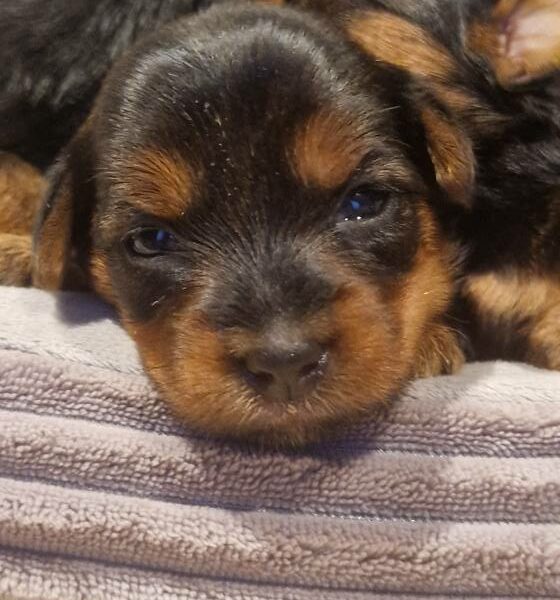 614859675_122167370858758554_7839420941825601415_n