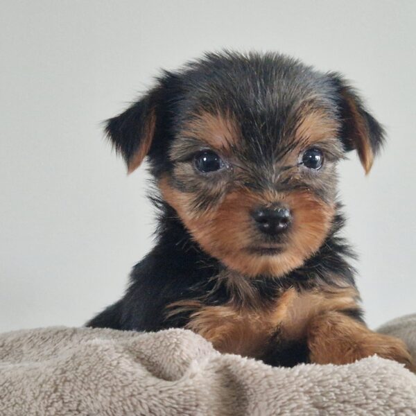 626764780_122171156636758554_5908627158740282454_n