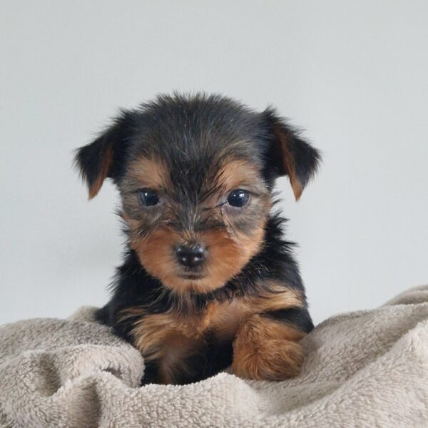 629182604_122171156528758554_2032594224583547566_n