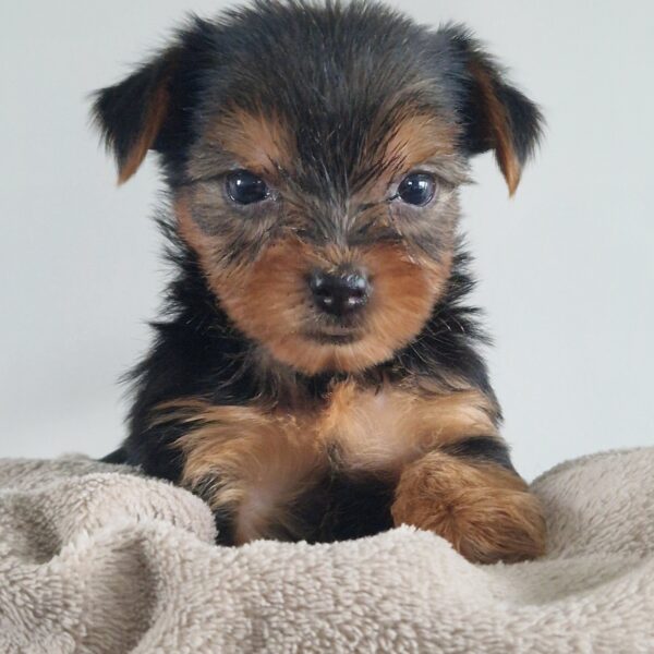 629312211_122171156702758554_5176819429810433970_n