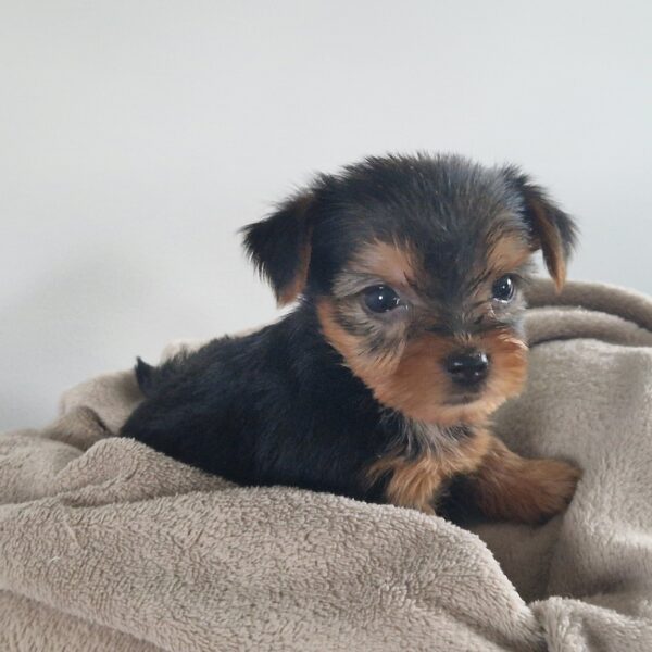 629427464_122171156558758554_4664065917015310410_n