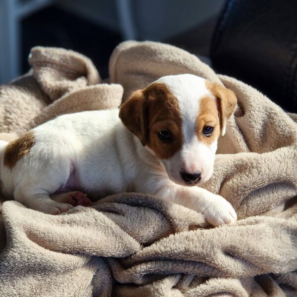 642764566_122174189390758554_9074547912037026099_n