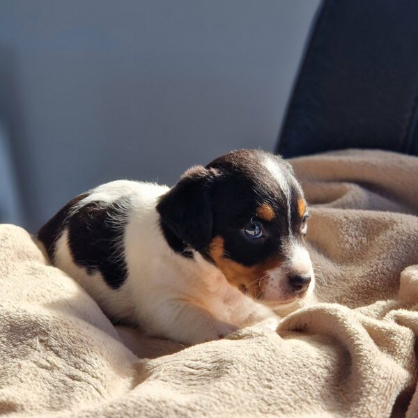 642788070_122174189480758554_2034284351991198585_n