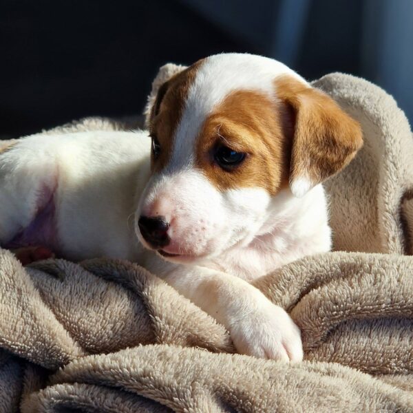 642793012_122174189312758554_898949978761389870_n