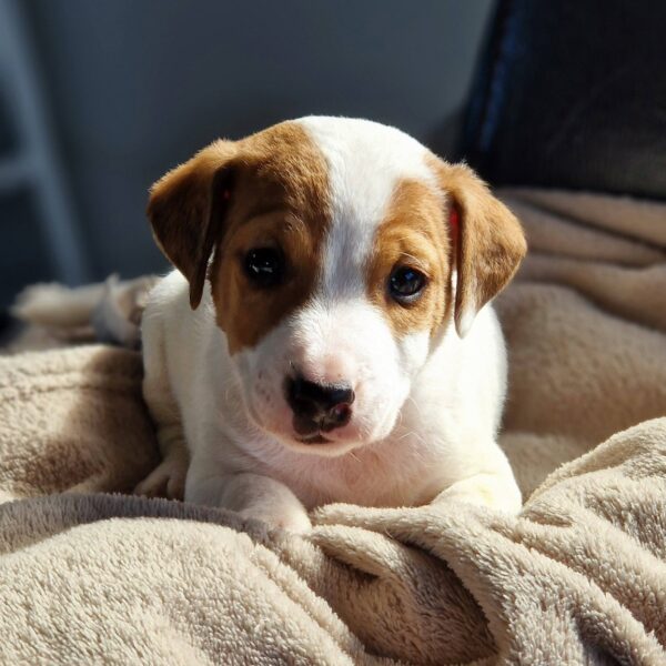 642795736_122174189348758554_3280145880887292204_n