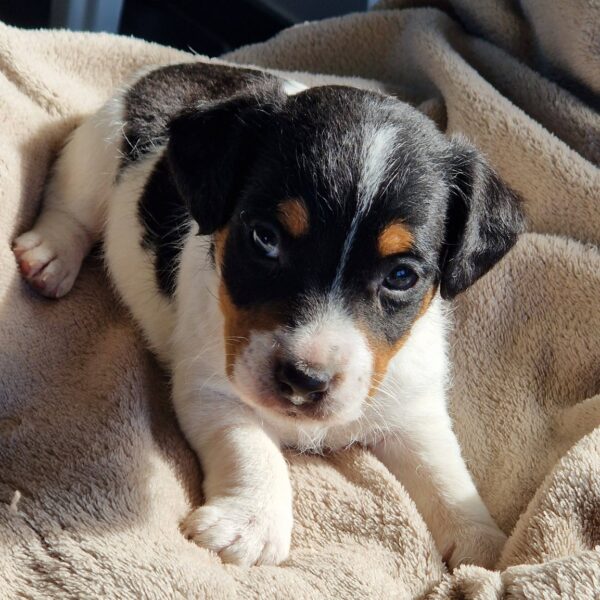 642807226_122174189522758554_3919139165316334203_n