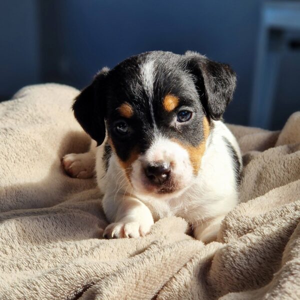 645107867_122174189438758554_3193855147743723991_n