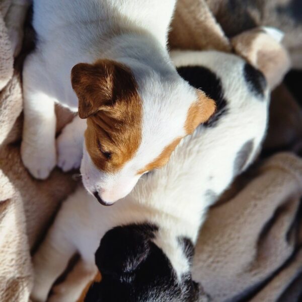 645268748_122174189276758554_7724849426775923081_n